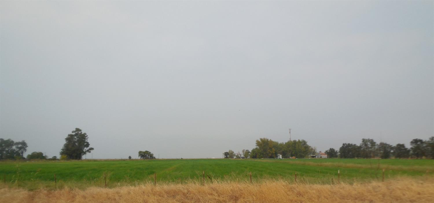 A field with grass and trees on a cloudy day.