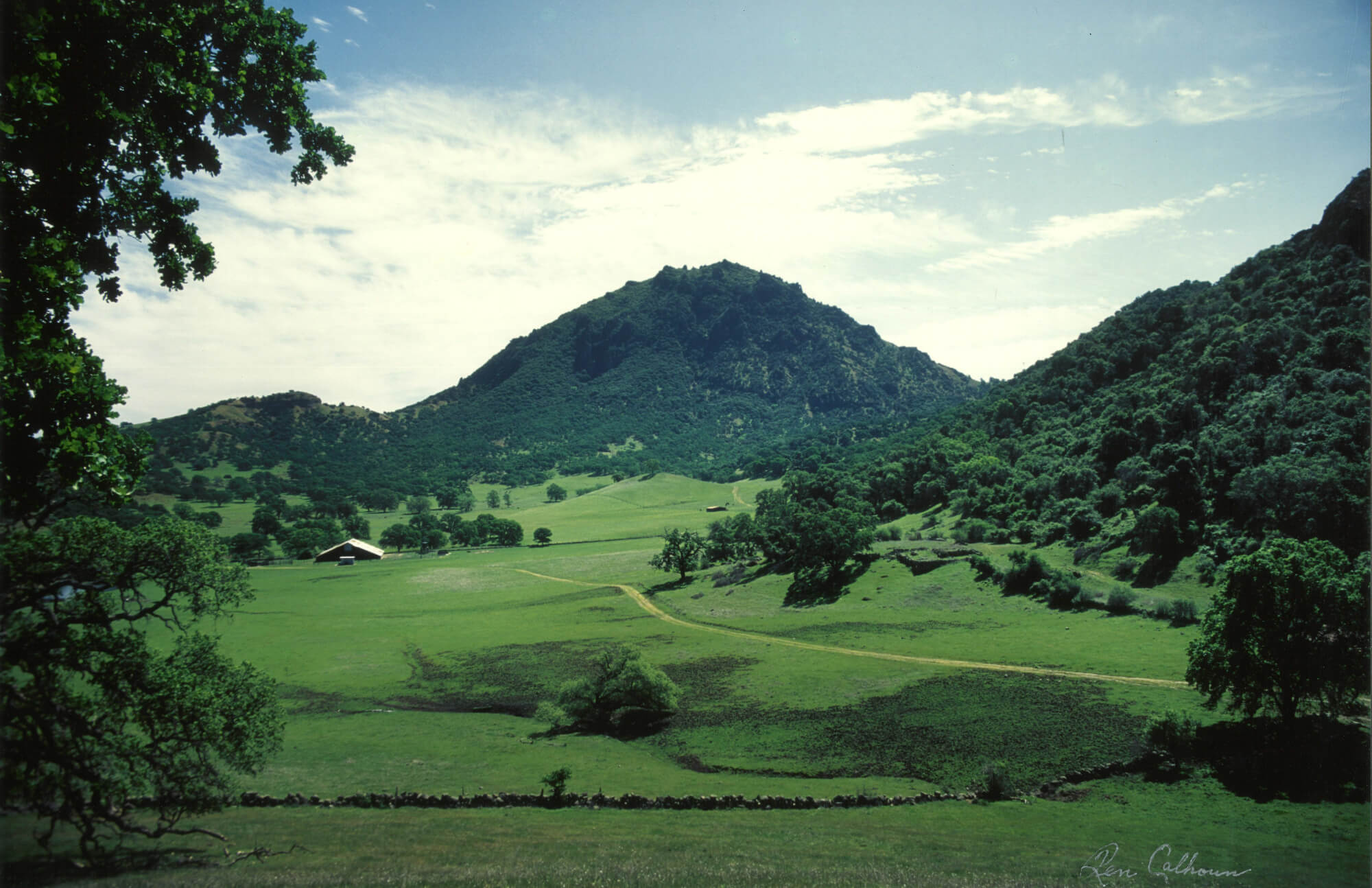 Image of a beautiful mountain amongst trees and grass