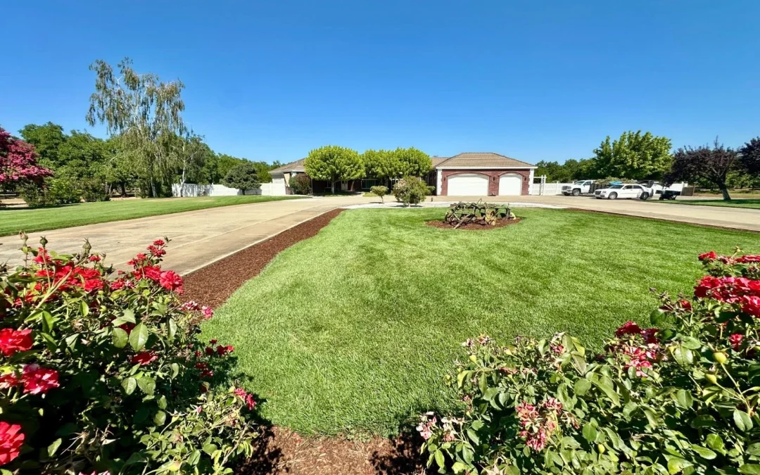 Luxury 4,242 sqft Custom Home on 2.75 Acres